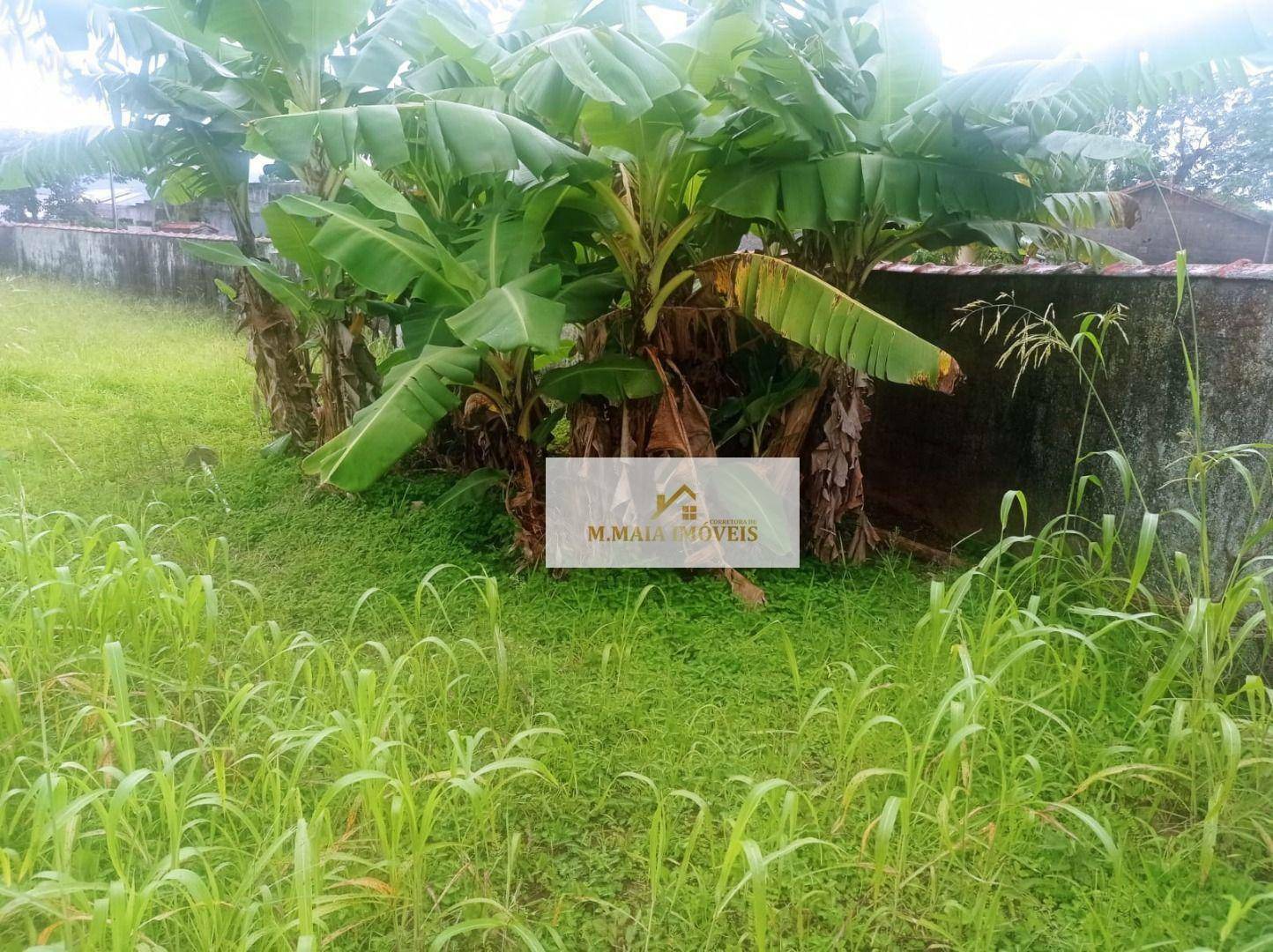 Terreno em Balneário São João Batista II - foto 4