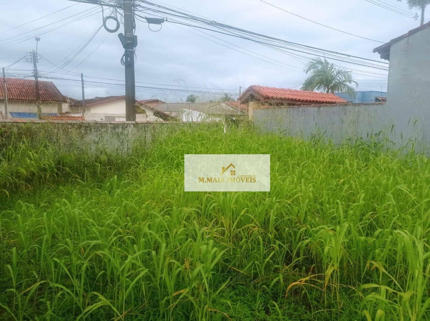 Terreno em Balneário São João Batista II - foto 3