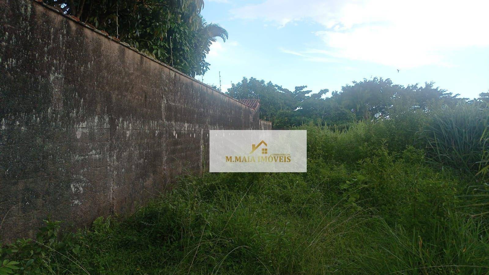Terreno em Belmira Novaes - foto 2